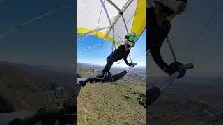 Flying With Friends