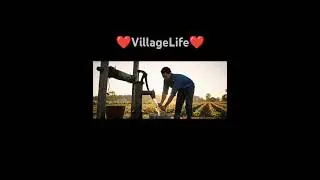 Day of Hard Work and Heart | Life in a Pakistani Village #VillageLife #RuralLife #AuthenticVlog