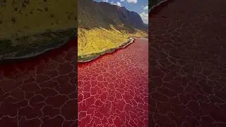 Places in Tanzania that don't feel real 🤯 #travel #adventure #explore #nature #tanzania