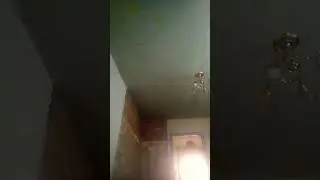 Відео, яке я подивився і побіг! 🏃