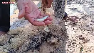 Rural Fishing Net - Adventure Fishing around the Forest- Traditional Fishing by KimAth