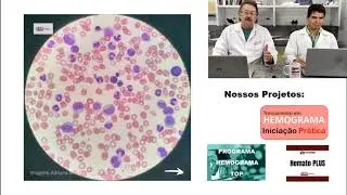 Vamos LAB Praticar?