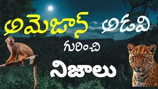 Interesting facts about Amazon rainforest #Telugu facts #Amazon #forest