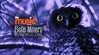 Powerful Owl Tour Promo Video