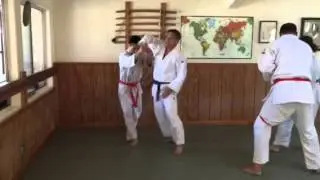 Yukichigai Basic Yoseikan Technique