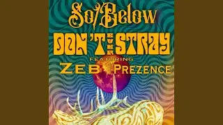 Don't Ever Stray (feat. Zeb & Prezence)