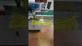Come tagliare e spelare 2 fili | JCW-CS03 con braccio robotico e trasportatore