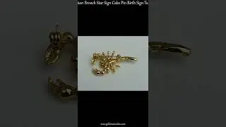 Gold Plated Scorpion Brooch Star Sign Cake Pin Birth Sign Talisman Protection