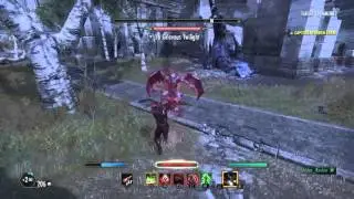 Strider Roshin 1vX fighting in the city