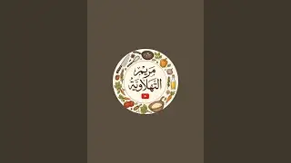 بدأت قناة 