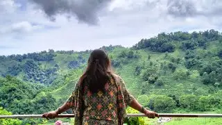 Rohini lake (park) volg  ❤️🍃#Darjeeling #rohinipark #freinds#picnicspots#siliguri#preweddingshoot ..