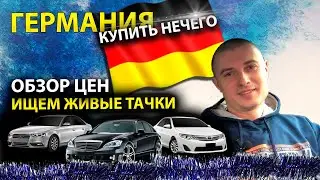 ГЕРМАНИЯ 2022//СВЕЖИЕ ЦЕНЫ//ОБЗОР ЦЕН// ЕСТЬ ЛИ ЖИВЫЕ ТАЧКИ?? АВТО ПОДБОР ПО ГЕРМАНИИ// MAX AUTO
