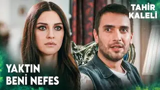 İlk görüşte aşık oldum 😍 | Tahir Kaleli