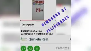 BINGASOO 37 FELICIDADES