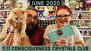11:11 Consciousness Crystals Club Chakra Stones $10 Subscription Mystery Box + Our Crystal Gardens!