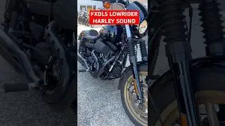 Звук Harley FXDLS Low Rider #harleydavidson #bikelife #motorcycle #bikers