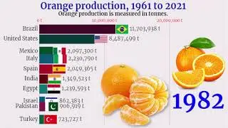 Top 10 Orange Production Countries in the World