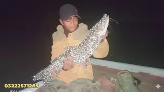 KEMARI FISHING KARACHI FISHING PAKISTANJanuary 31, 2026
