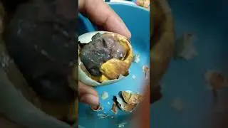 Let's eat balut from pinas#shorts  #asmr #viral #yummy #trending #mukbang