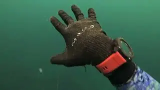 my last dive before new year (2026)spearfishing philippines free diving and spearfishing..,