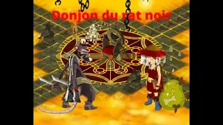 Donjon du rat noir, xp massive. Dofus retro temporis.