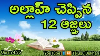 Allah given 12 commandments Quran Hadith #shorts #shortvideo #short #shortvideo #telugubukhari