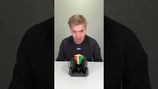 I could watch this thing all day