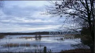 Berlin Flughafensee