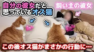 彼女と一緒に寝たがるオス猫たちがとんでもないことになりました…