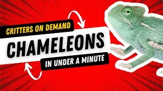 Critters On Demand: Chameleons in Under a Minute