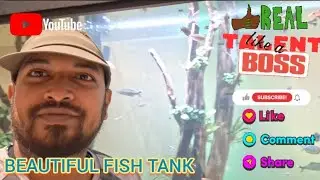 Real Talent Boss | Fish And Fish Tank Information | Cleaning Fish Tank