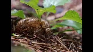 J &D Nature Images Season 1 episode 3 the power of water