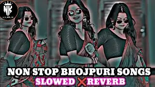 Nonstop bhojpuri songs | popular videos viral | slowed reverb free fire Lover |  #h4x ramesh