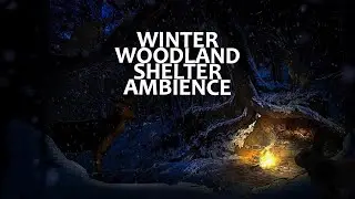 Winter Woodland Shelter - Snowy Forest Campfire Ambience ASMR