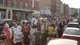 Protesters Hold Demonstration Against Denmark's Burqa Ban