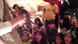 Jungle James - Live Animal Shows