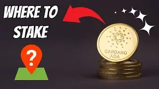 Best Places To Stake Cardano - Where Do You Get The Best APY?