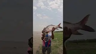 River fishing by hook with big fish bait #fishing #bigfish #fishbait