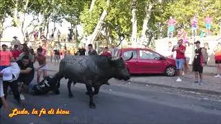 Cournonterral - 04 août 2019