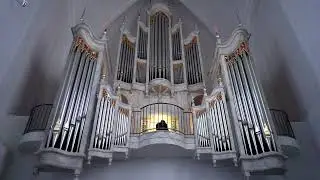 Felix Mendelssohn - Organ Sonata​ in D minor, op. 65 No. 6  - J.B. Robin (Mariager, Denmark)