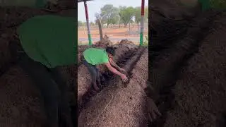 Best method of increase earthworm population in the vermibed
