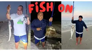Inland Sea, Fish On (Qatar)