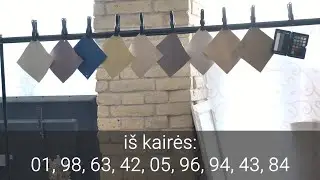 Kuri užuolaidų spalva?  #DariusKiaulakis