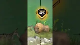 Americon bison hunting#shorts #ytshorts #youtubeshorts #video #viral #gameplay #freefire #pubgmobile