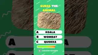 Texture Safari: Guess Animals by Unique Patterns and Textures! 🌎🦓 #guesstheanimal #shorts #quiztime