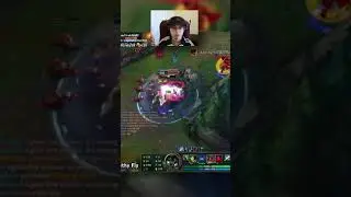 JUNGLE DIFFFF