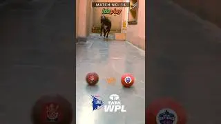RCB VS DC MATCH PREDICTION | WPL 2025 | MATCH NO.14 |#MPL 2025 #predictions #shortvideo#dc#rcb