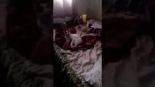 Que tiro foi esse kkk 2018
