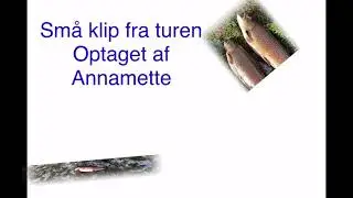 TFT JUNIOR BES&Oslash;GER Tusaagaard
