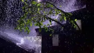 Heavy Rainstorm on Tin Roof – Sleep Better Tonight